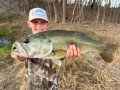 resized_fish3